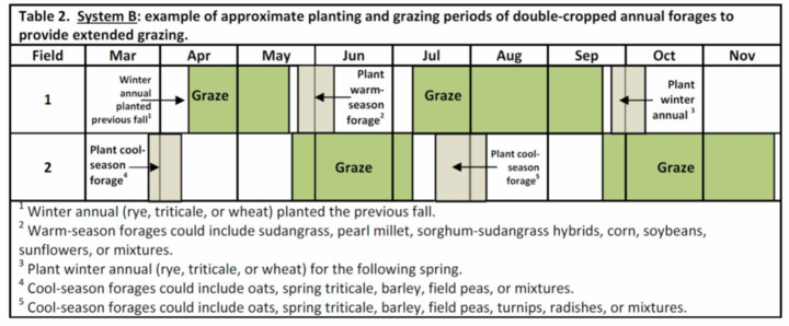 Forage System Plan B