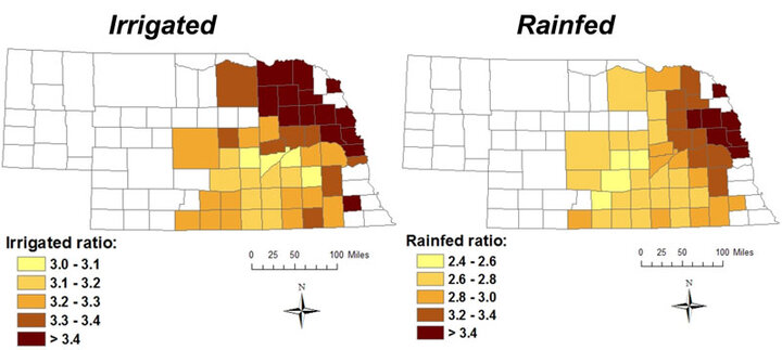 Nebraska county maps of irrigated and rainfed responses