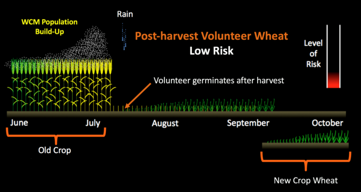 Volunteer risk situation creating low risk