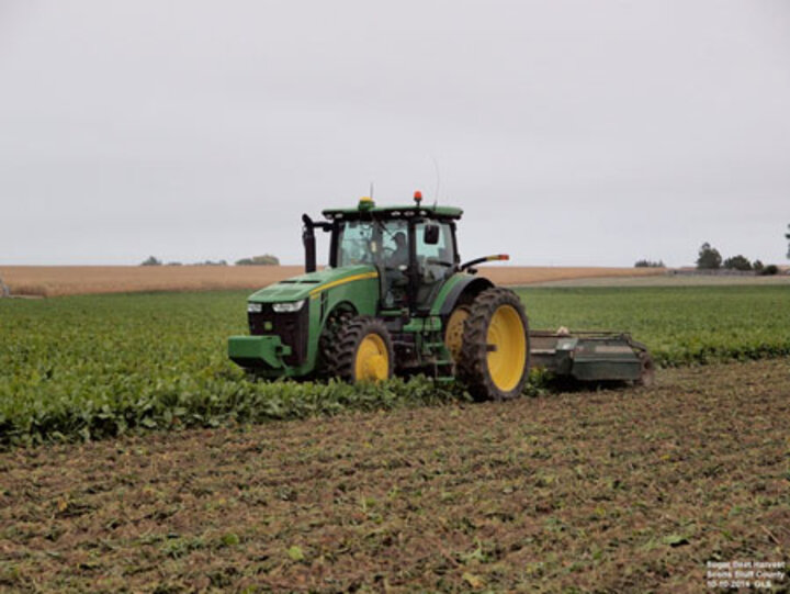 Sugarbeet harvesting