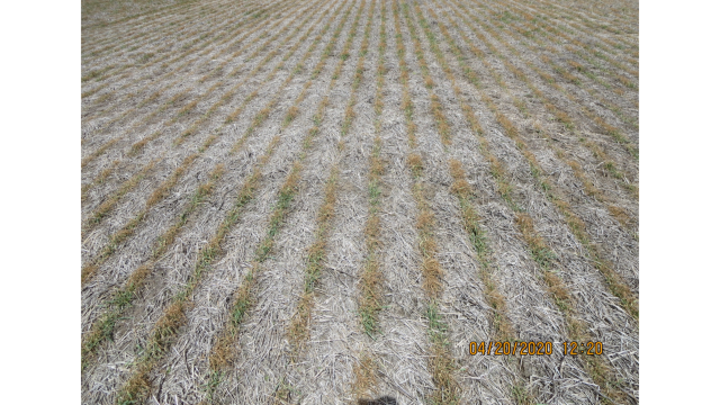 a tilled field