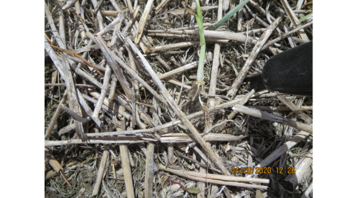 a tilled field