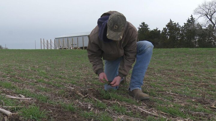 Byron Chvatal scouting a field