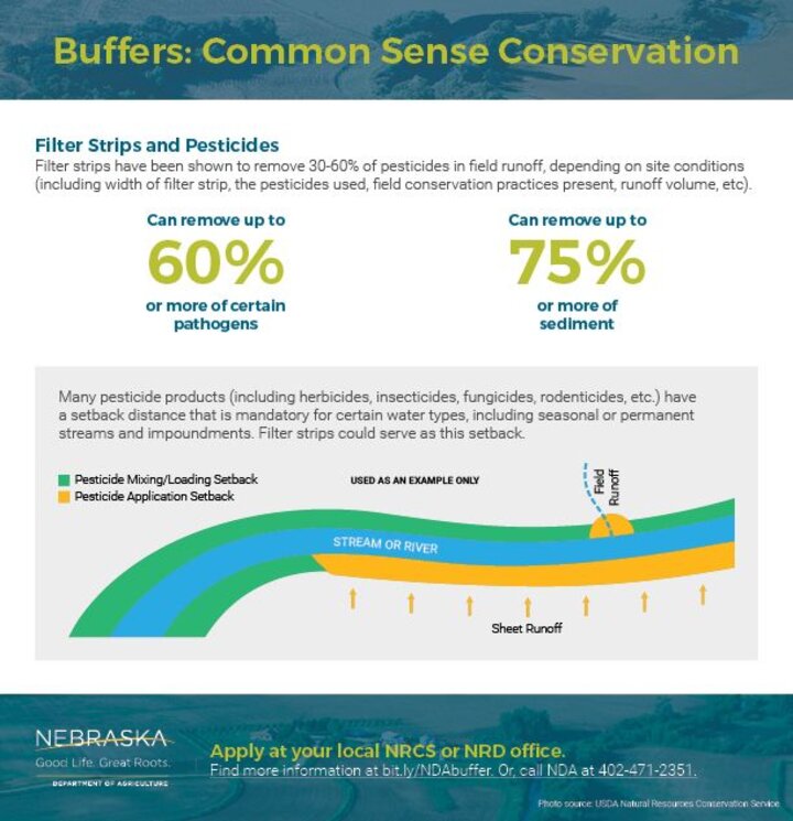 Infographic on value of buffer strips