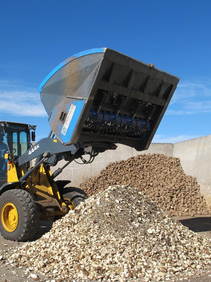 Equipment chopping sugarbeets at the university's Panhandle Research Feedlot.