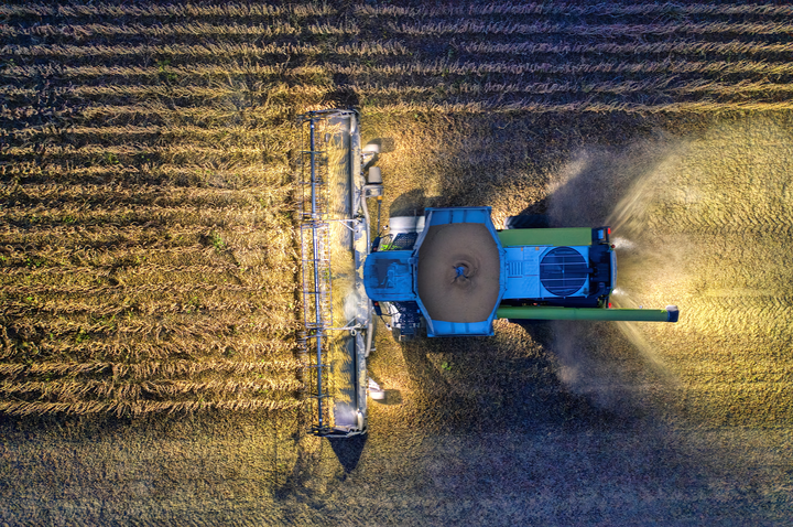 combine harvesting corn field at night