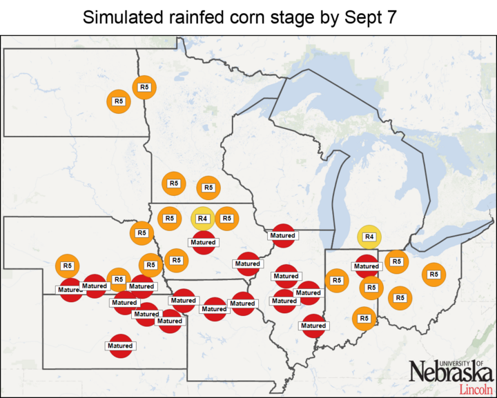 Simulated rainfed corn stage by Aug. 24