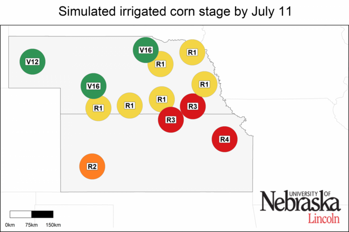 Estimated growth stages of irrigated corn