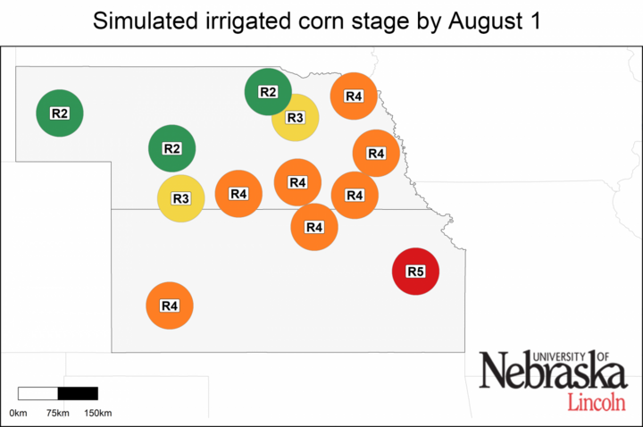 Simulated developmental stage for irrigated and rainfed corn at each location.