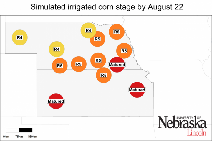 Simulated developmental stage for irrigated and rainfed corn at each location.