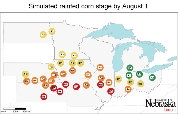 Simulated irrigated corn growth stages by Aug. 1
