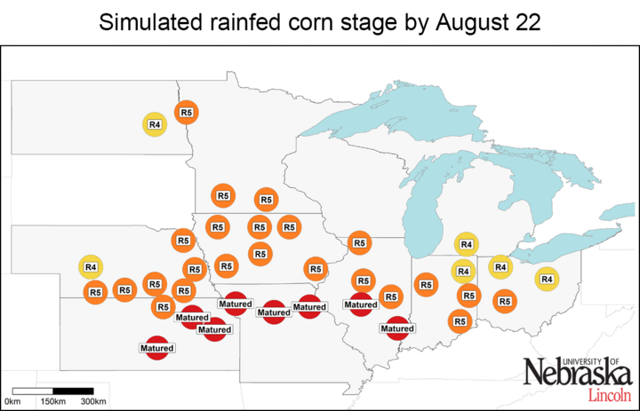Simulated rainfed corn stage by Aug. 22
