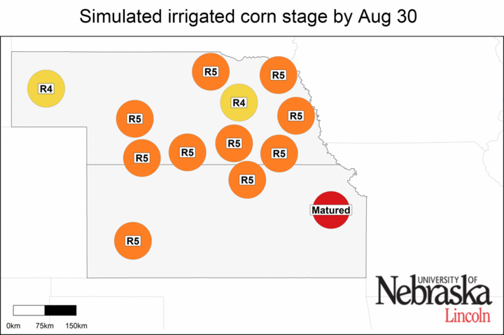 Estimated growth stages of irrigated corn