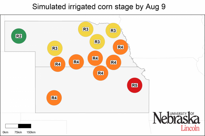 Estimated growth stages of irrigated corn