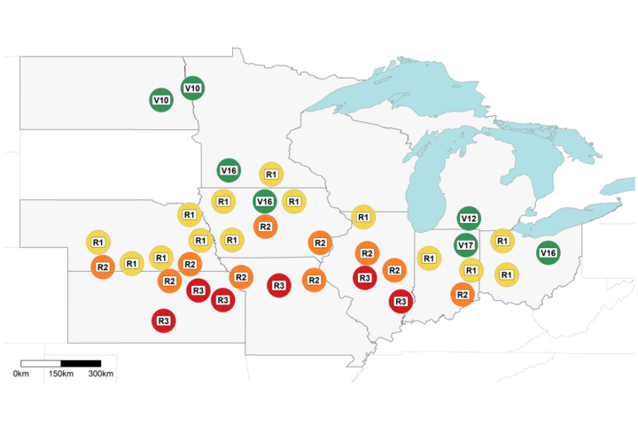 Estimated corn growth stage at rainfed sites, July 18, 2017