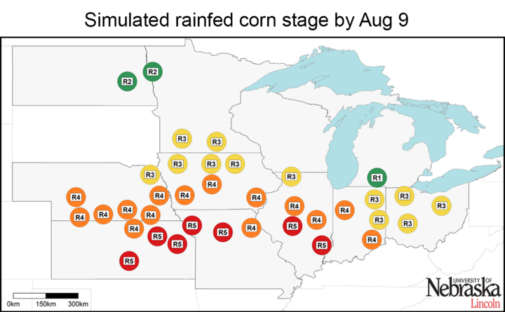 Estimated corn growth stage at rainfed sites, July 18, 2017