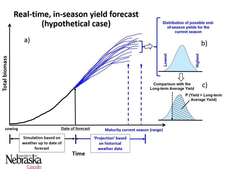 Graph of in-season corn yield forecast