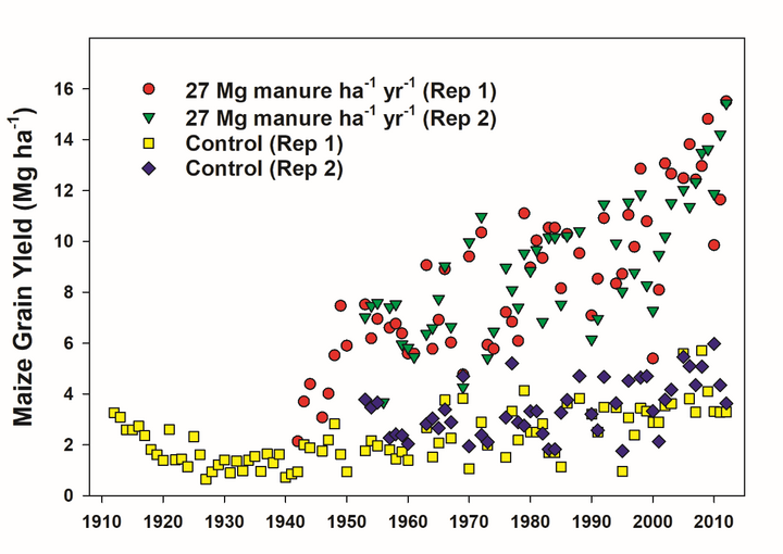 Char showing corn grain yield in two replications each of manured and non-manured plots in the Knorr-Holden Plot, Mitchell, Nebr.