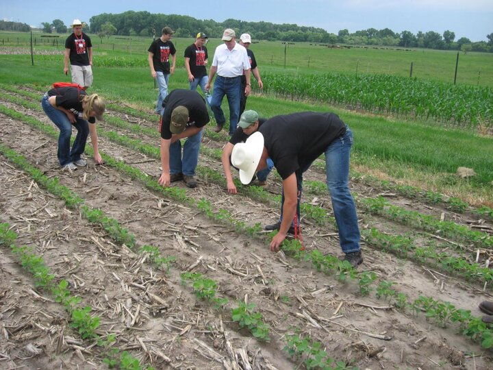 Crop scouting contest