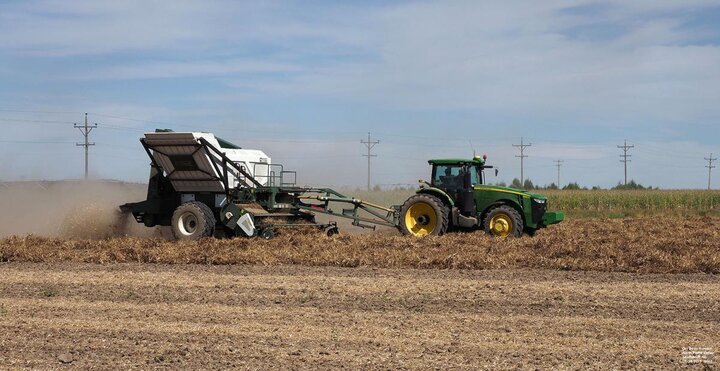 Dry bean harvest