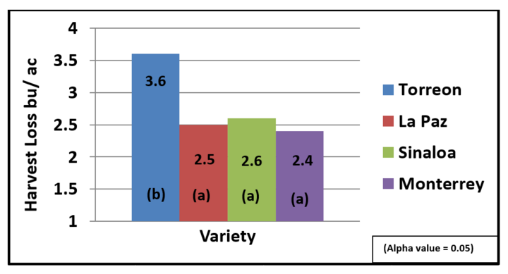 Chart showing harvest losses of four dry bean varieties after direct harvest