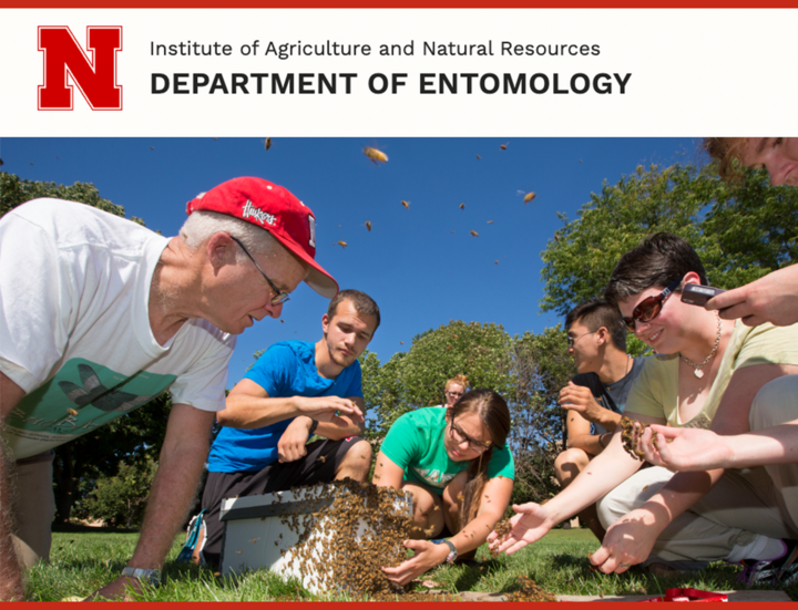 entomology homepage screenshot