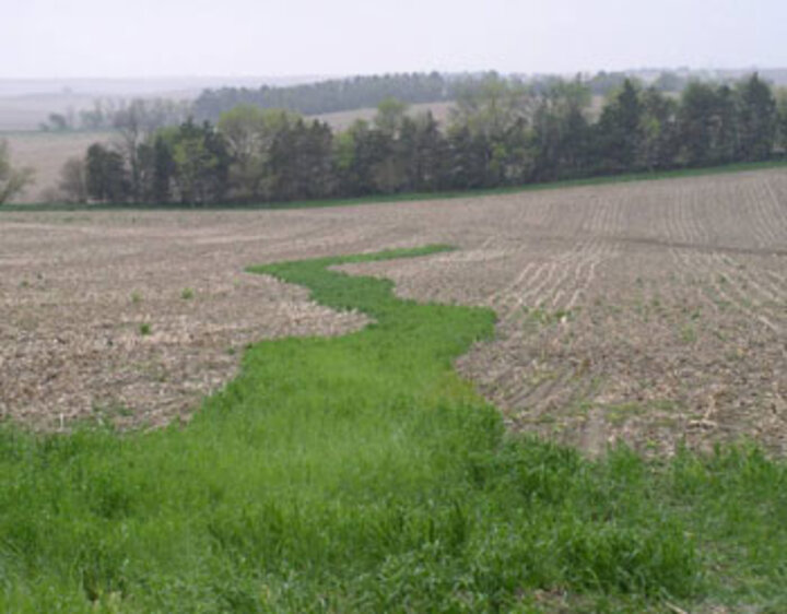 Fall cereal rye waterway