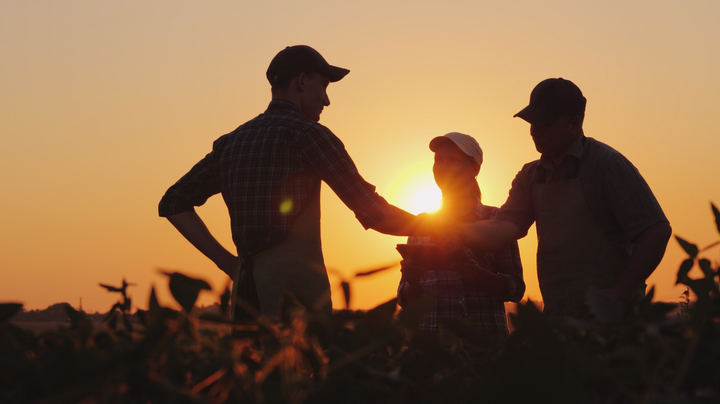 farmers shaking hands in field at sunsetq