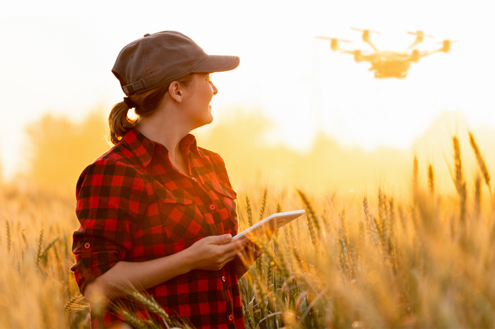 woman operating drone in wheat field