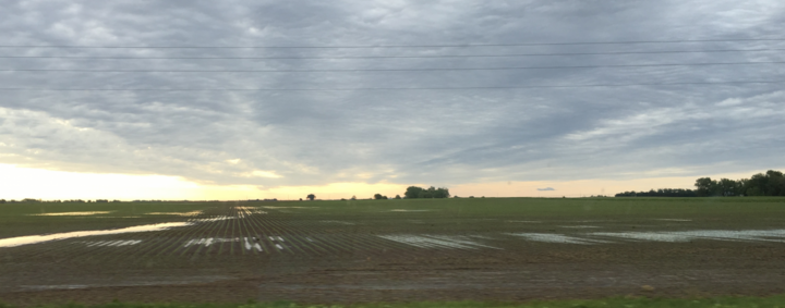 Field ponding and flooding