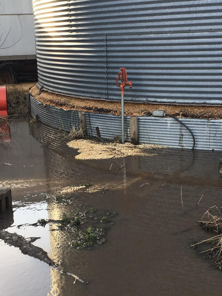 Flood-damaged bin