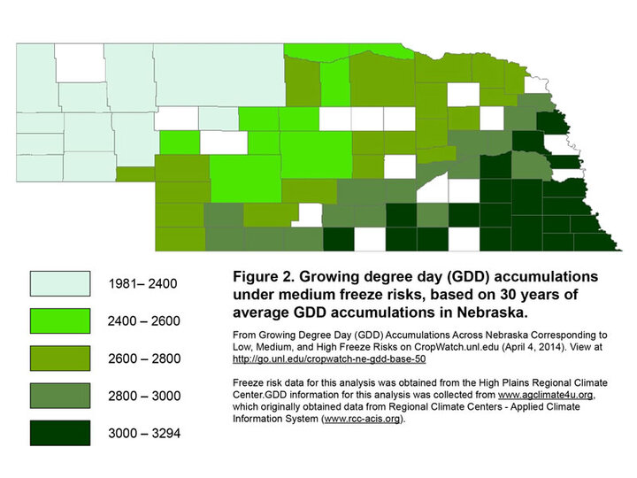 GDD accumulations under medium freeze risk
