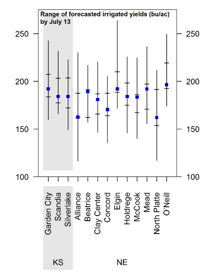 simulated irrigated corn yields