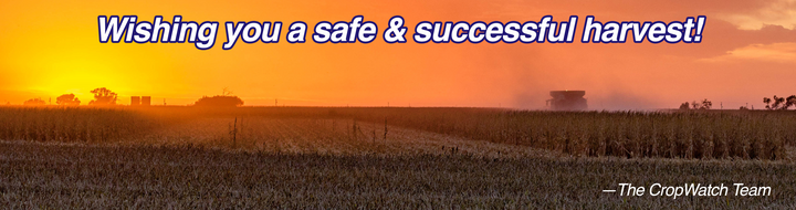 Banner image of a combine harvesting corn at sunset with the message “Wishing you a safe & successful harvest! —The CropWatch Team” in bold white text outlined in blue.