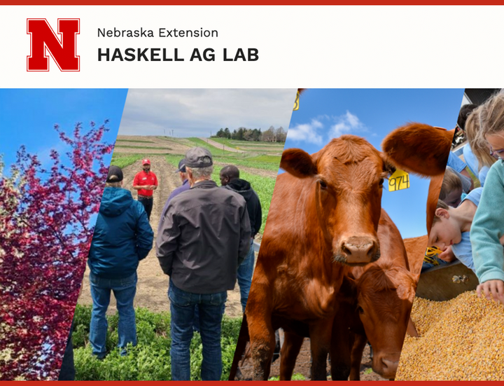 haskell ag lab homepage screenshot