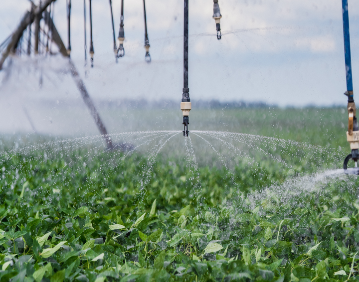 center pivot irrigating soybean field