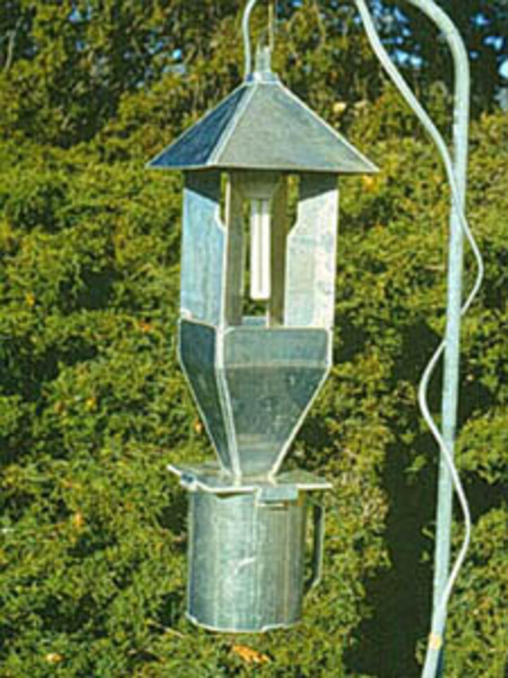 Insect light trap