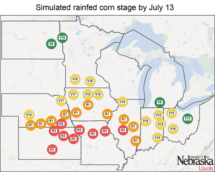 Simulated rainfed corn stages
