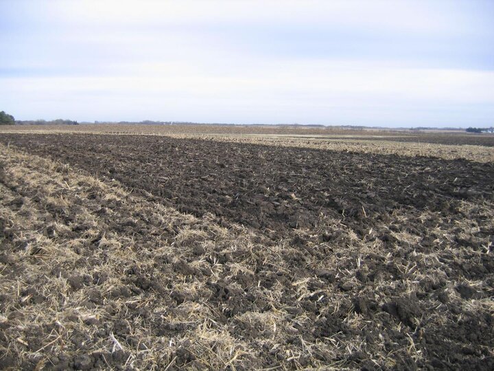 Tillage plots in Minnesota trial