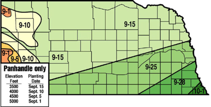 Recommended wheat planting dates