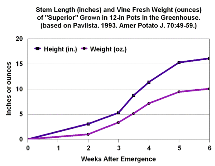 chart of tuber weights during crop development