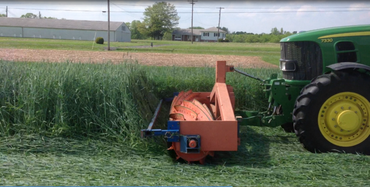 roller crimper in cereal rye cover crop