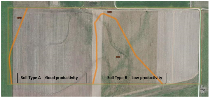 Side-by-side field comparison
