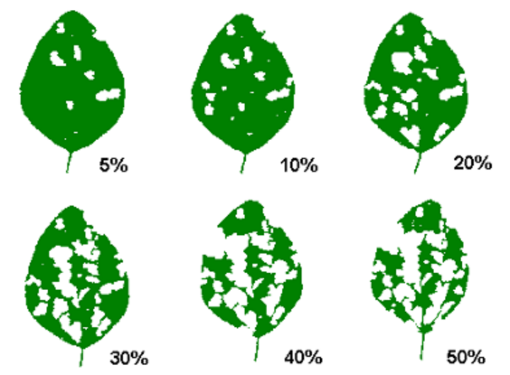 soybean defoliation guide