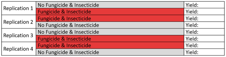 Optional, additional fungicide and insecticide study layout.