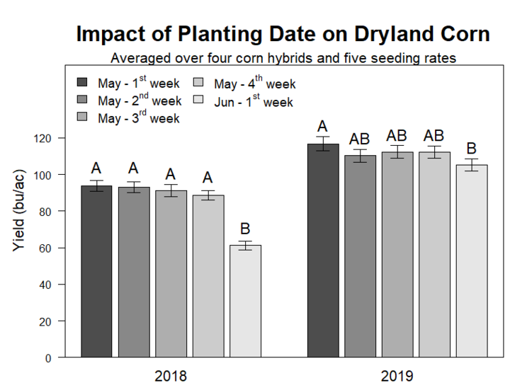 Graph of Impact of planting date on yield (bu/ac) of dryland corn during 2018 and 2019 growing season at Grant