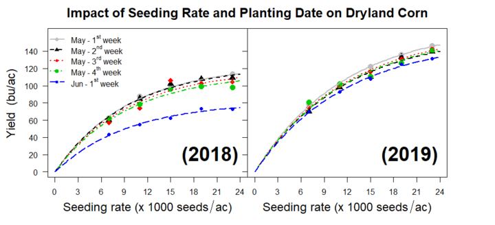 Graph of Yield (bu/ac) of dryland corn as affected by seeding rate (seeds/ac) and planting date during 2018 and 2019 growing season at Grant