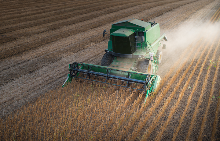 combine harvesting soybean field