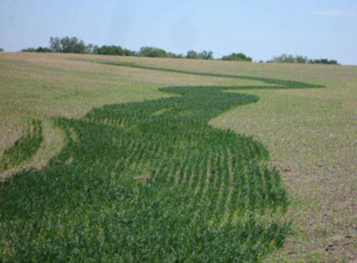 spring oats wterway