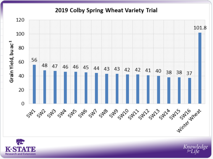 spring wheat averages graph